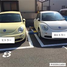 ニュービートル1日目 ニュービートル1日目