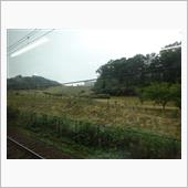 宇津貫緑地
