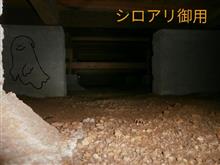 羽アリ出たぞー