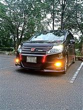 本日のステップちゃん特集Ⅱ