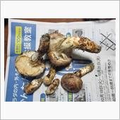 ドラフト会議