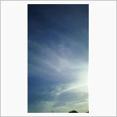 寒い１日です。