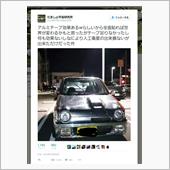 アルミテープの猛者が…！