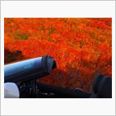 Z4で行く 燃える！紅葉ドラ ...