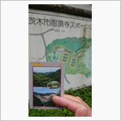 運動と言ったら夜の床運動しか ...