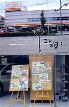 今度の日曜はトヨ博でカローラを祝おう 今度の日曜はトヨ博でカローラを祝おう