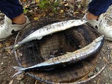 秋刀魚焼きましたよ! 秋刀魚焼きましたよ!