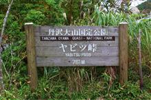 頭文字D聖地巡礼2016（ヤビツ峠）