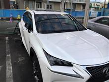 再び洗車でぐったり