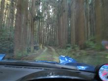 最高に調子が良く、山間部200kmコースも楽勝でした♪♪