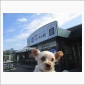 ＰＡ土産