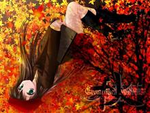 紅葉狩りに行紅葉(こうよう)ｗ