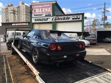 札幌のクルーズ  朝イチ ブラックバード！