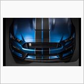  Ford Shelby G ...