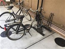 原付にソレックスとありました。