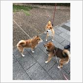 集まれぇ〜！