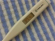 もう駄目です &gt;_&lt;