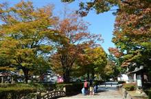 早いのは分かっていたけど紅葉