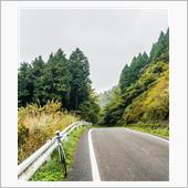 今朝のサイクリング ---  ...