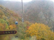 紅葉狩りに行ってきました！