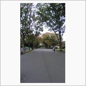 2週経過