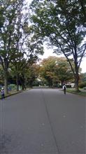 2週経過