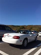美しい秋との遭遇でした。
