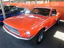 生1968年ファストバック 生1968年ファストバック