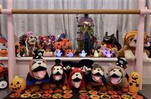 ハッピーハロウィン2016