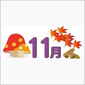 １６年１１月です。