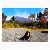 ゆず散歩…紅葉と秋に咲く桜と ...
