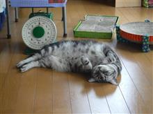 にょ～ん
