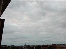１１月２日　また雲が多いラス１の水曜日、おはよ～♪