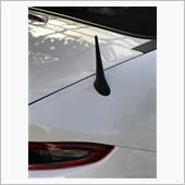 Short antenna