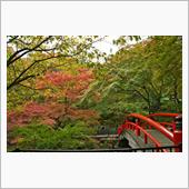 榛名方面へ紅葉ドライブ