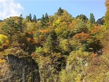 ぷち紅葉狩り♪ ぷち紅葉狩り♪