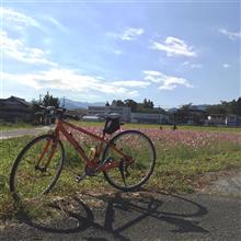 季節外れの