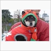 ハロウィンでした