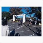 今年も行って来ました。