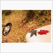 2016紅葉狩り③-2　もう ...