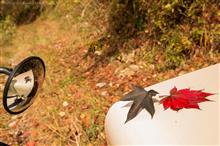 2016紅葉狩り③-2 もう一つのせせらぎ街道(高山~下呂) 2016紅葉狩り③-2 もう一つのせせらぎ街道(高山~下呂)