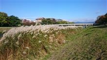 とりあえず30kmランしたので神戸マラソンへの練習終わり(^_^;)