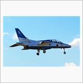 入間基地航空祭2016、ブル ...