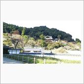 奈良 長谷寺へ
