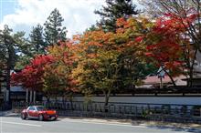 ２０１６　紅葉ダウンヒル　高野山