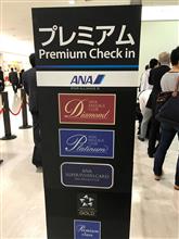 ANA premium class