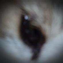 ブツブツなんだよぉーぅ｡｡｡(T▽T)