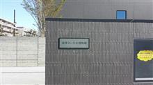 散歩の途中⁉