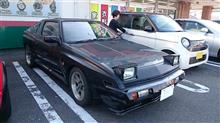 スタリオンと出会う(*^^*)