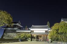 上田城址公園ケヤキ並木ライトアップ